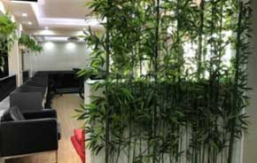 白板紙在包裝印刷行業的發展趨勢